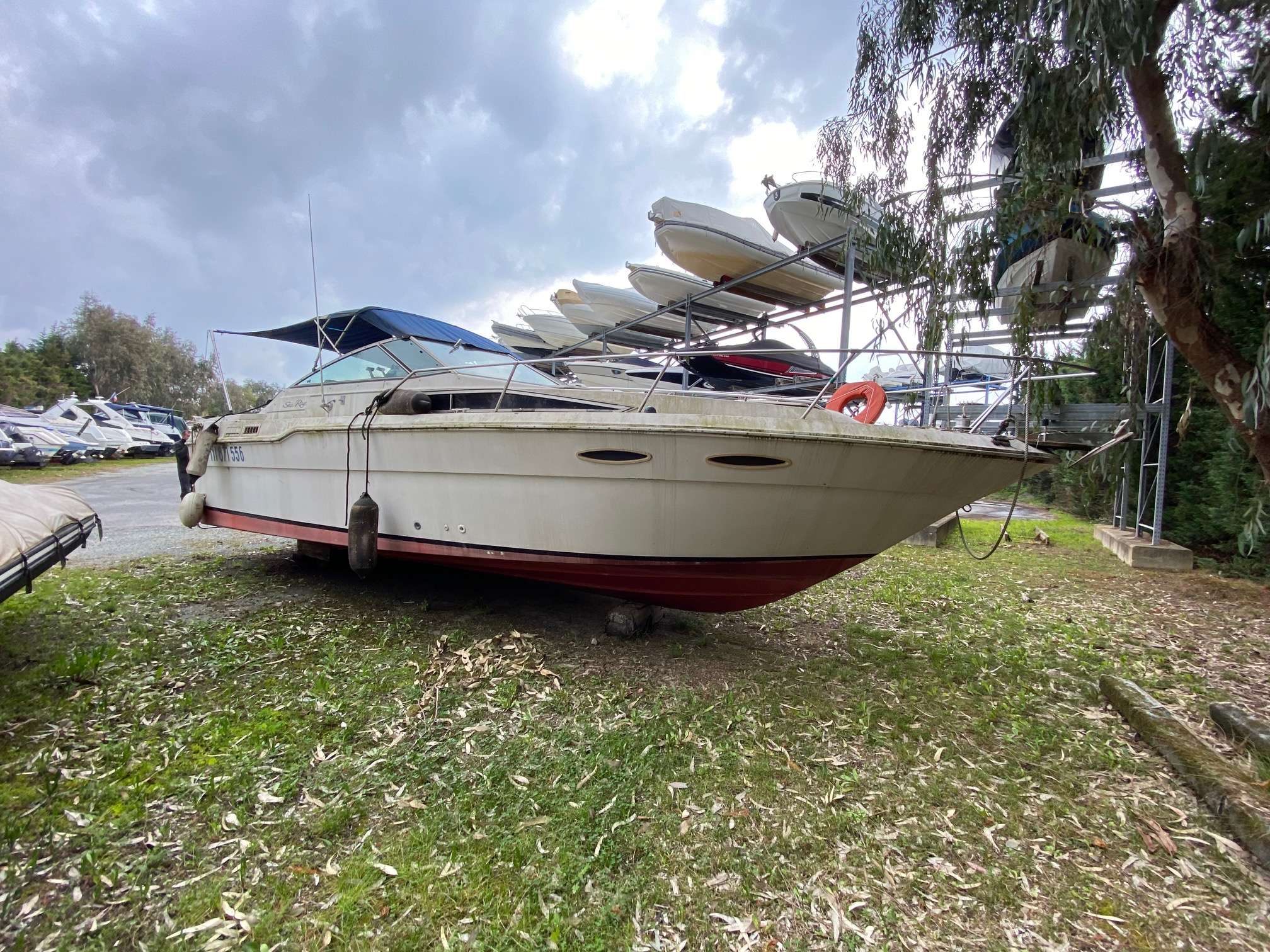 BATEAU SEA RAY VEDETTE BATEAU SEA RAY VEDETTE